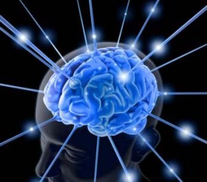 brain-300x264