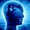 brain-18171981_18308352