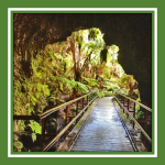 Journey to LeMuria