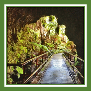Journey to LeMuria