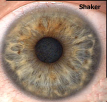 Shaker Eye Structure